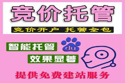 某某企业SEM推广成功案例：打造品牌营销新模式